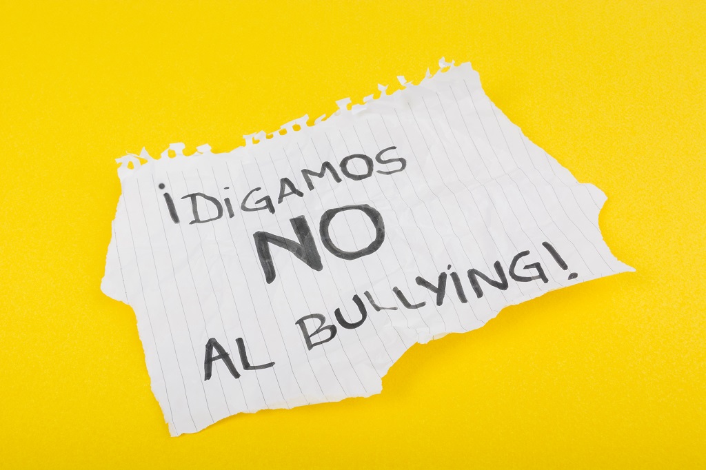 Bullying, una lacra social